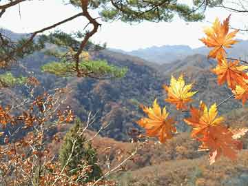 阳最新地址_阳新地图最新版